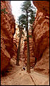 Bryce Canyon, Utah-040720-1641-m5534-p01-p03a-bryce-sml.jpg