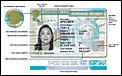 REDESIGNED: Green Cards Turn Green Again-0511cityroomid-blogspan.jpg