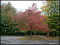 Fall Foliage-dsc07226.jpg