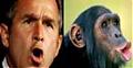 Intelligent Design Theory-bush-monkey.jpg