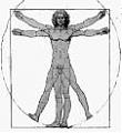 RE Comments pls on visible tattoos for police officers....-vitruvian-man.jpg