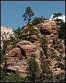 Your help pse RE Grand Canyon-040721-1103-m5633-zion-mod-sml.jpg
