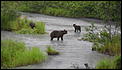 Coming out of  the Alaskan ..-sdc16189.jpg