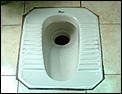 Toilets in the USA-turca01g.jpg