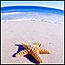 LiseM's Avatar