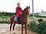 shahaanrider's Avatar
