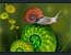 Spiral's Avatar