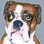 Buddyboy's Avatar
