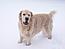 Bells1424's Avatar