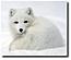 Manuia's Avatar