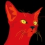 Red Cat's Avatar