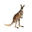 EarlyConvict's Avatar