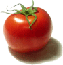 Mr Tomato's Avatar
