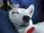 westchilt's Avatar