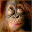 Meryn & Steve's Avatar