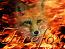 Firefox7's Avatar